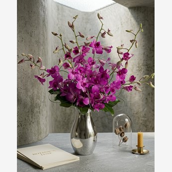 Purple Dendrobium orchid in Vase