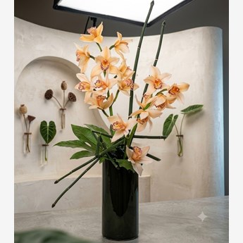Cream Cymbidium Orchids