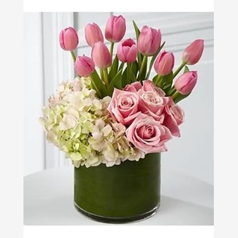 Beautiful Pink Tulips