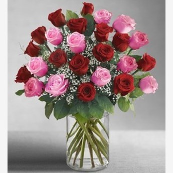 Classic Lovely Roses