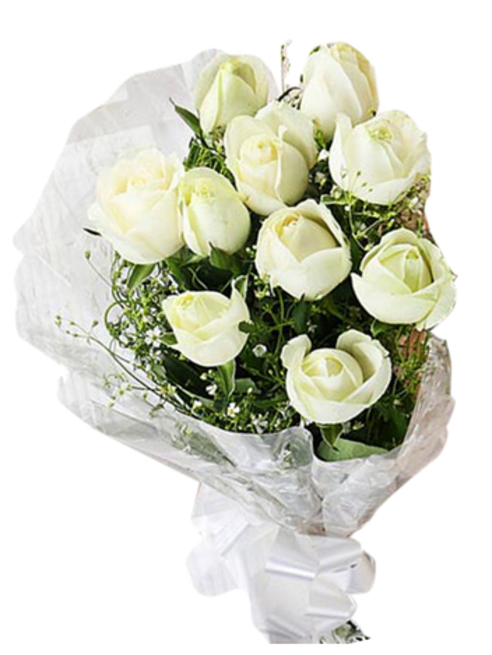 12 White Roses