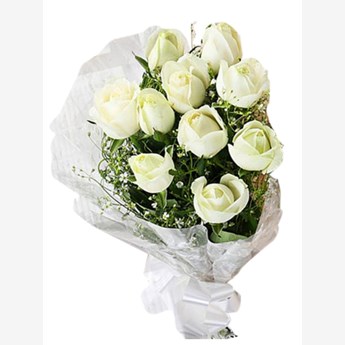 12 White Roses