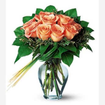 Perfectly Peachy Roses