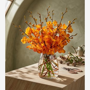 Orange Mokara Orchids