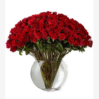 Lovely Roses