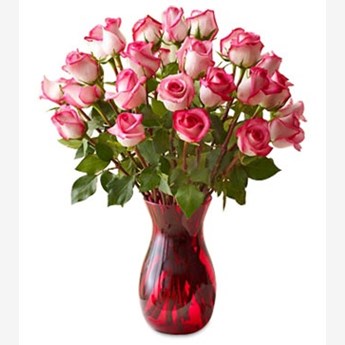 For Your Love
