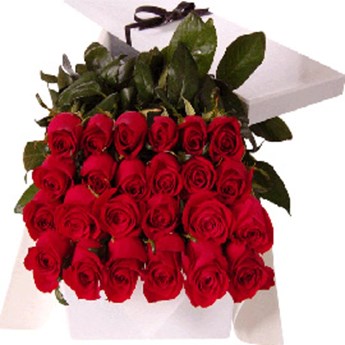 24 Kisses