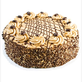 Mocha Sponge Cake