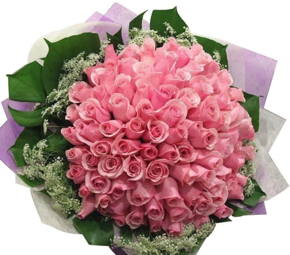 75 Pink Roses