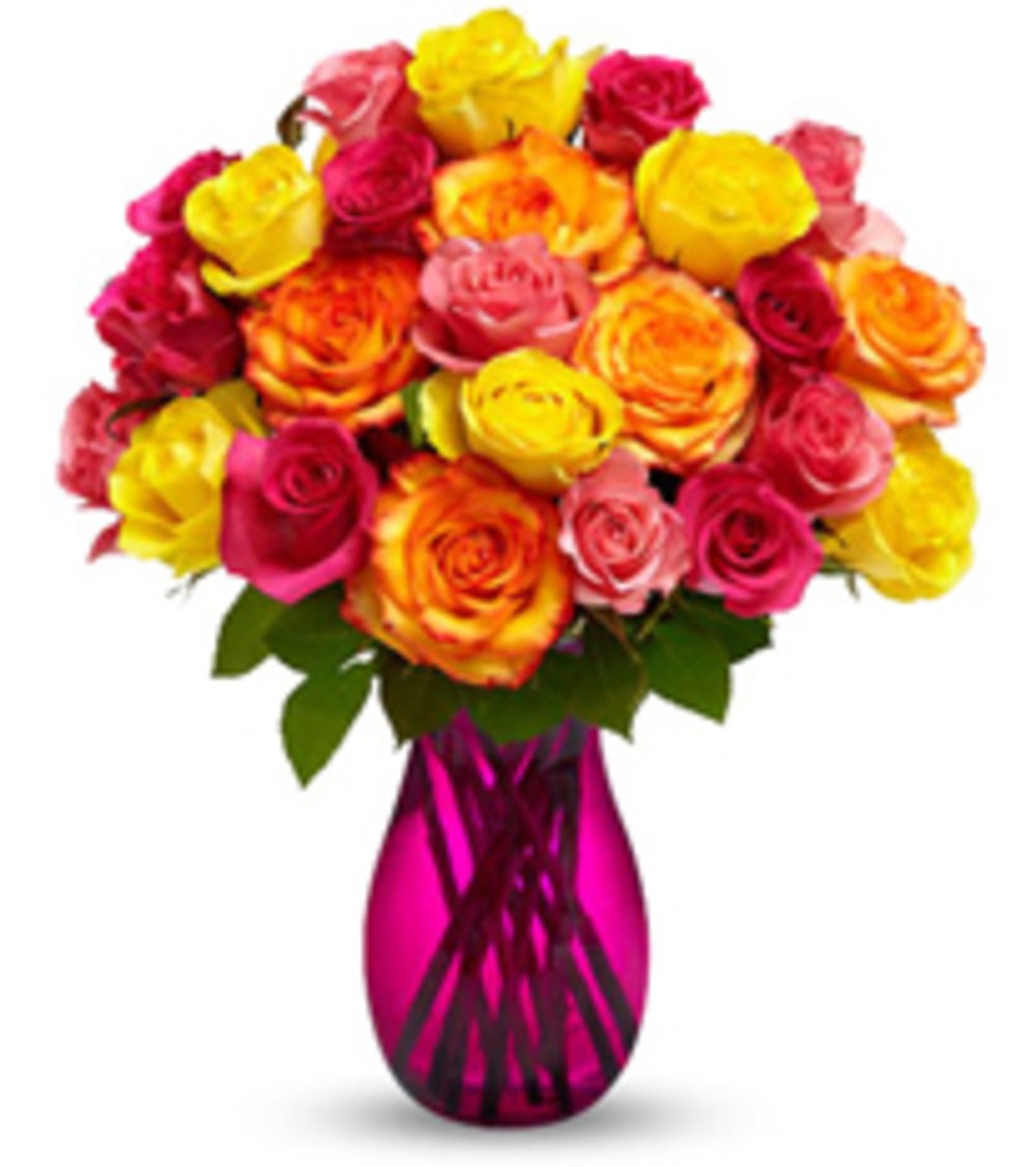 Two Dozen Multicolored