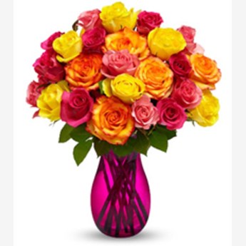 Two Dozen Multicolored
