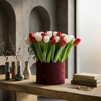 Red and White Tulips in a Vase