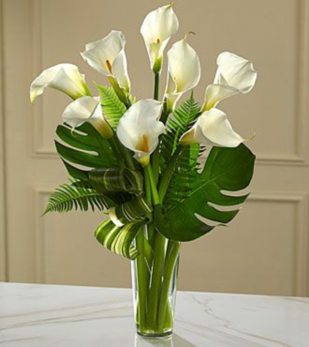 Calla Lily