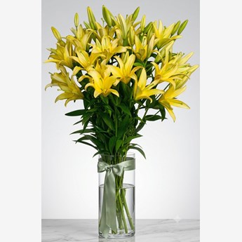 10 Stems of Yellow Lilies in Vase 