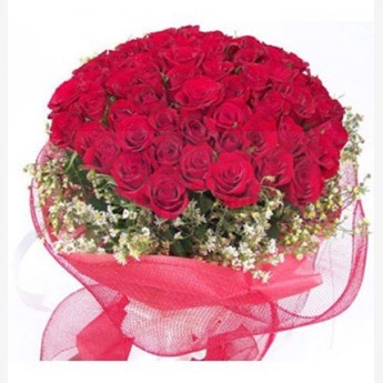 Roses in Net