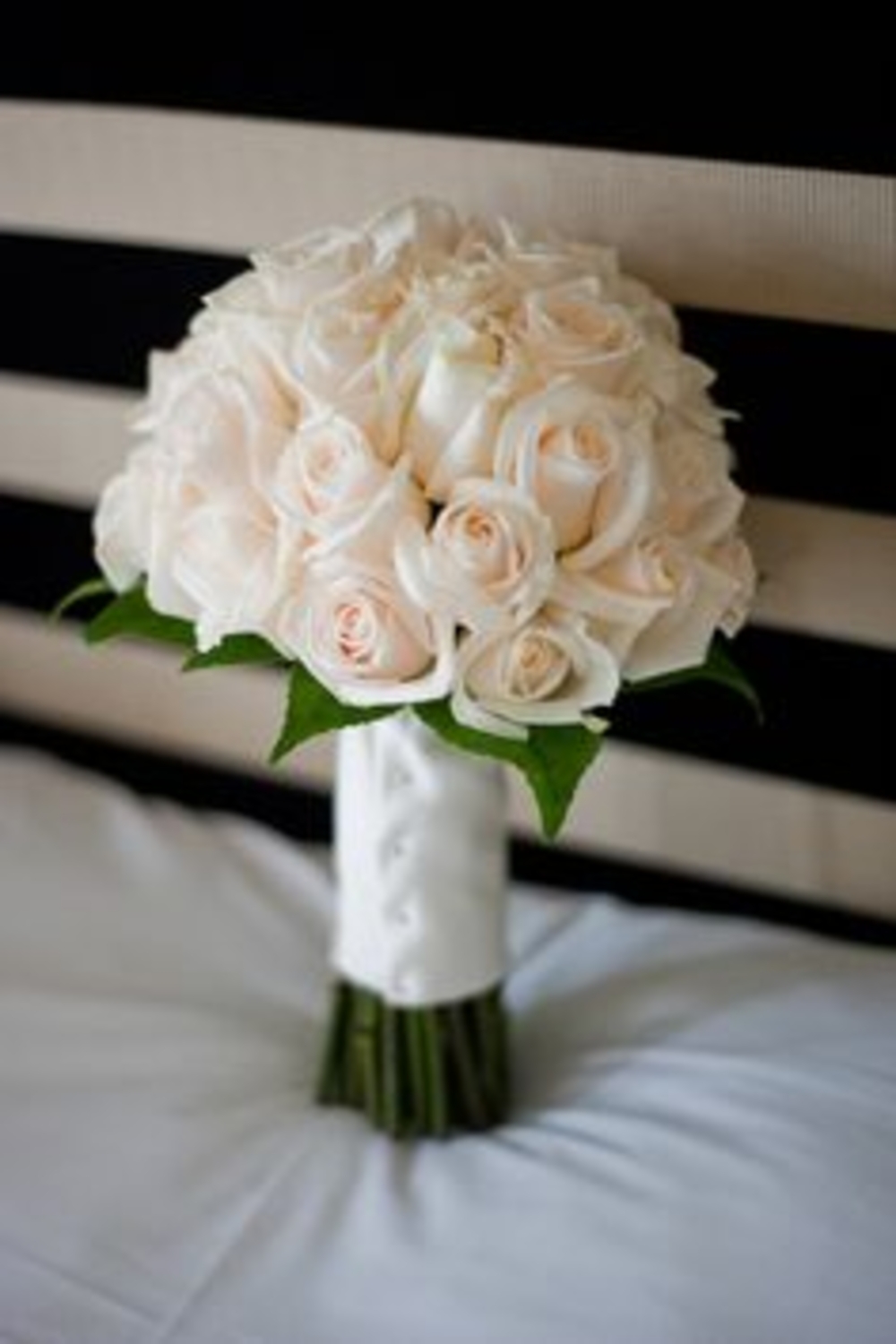 24 White Roses