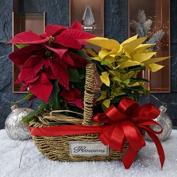 Pretty red and yellow combination gift