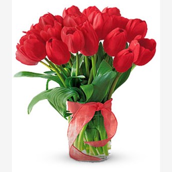 Tulips