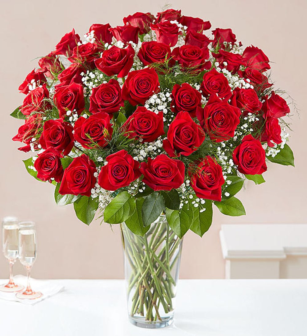 Three Dozen Red Roses