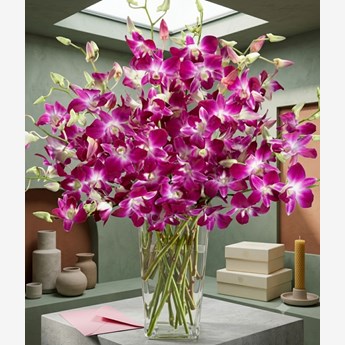 Dendrobium orchid in vase
