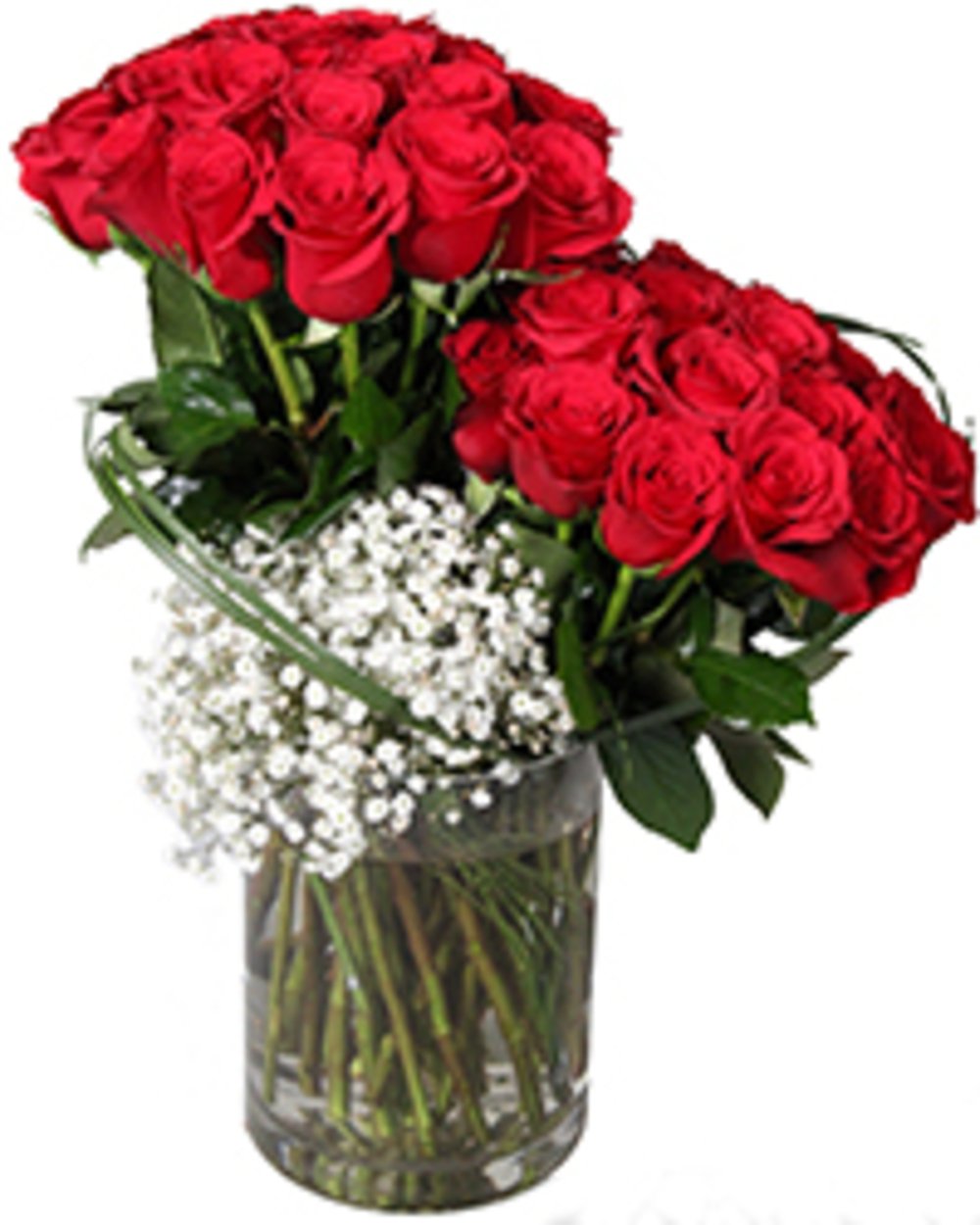 30 Red Roses Beauty