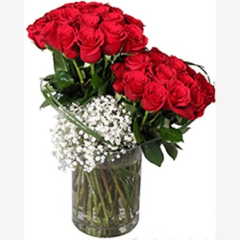 30 Red Roses Beauty