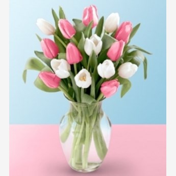Tulips Together