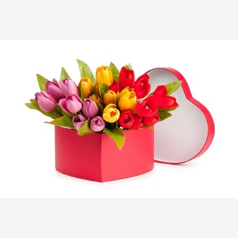 Tulips in heart box