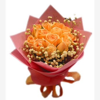 Peach Roses