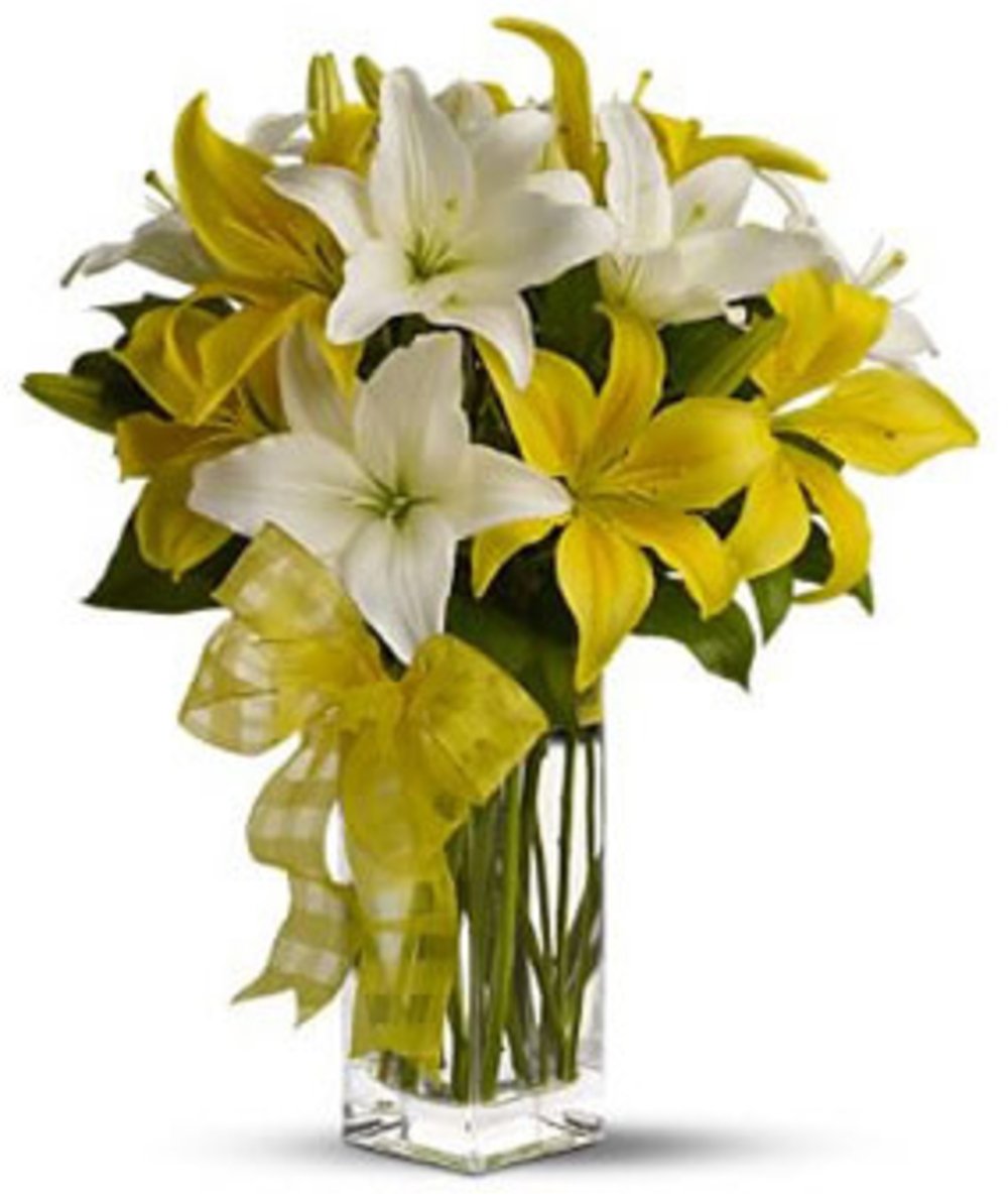 White & Yellow Lilies