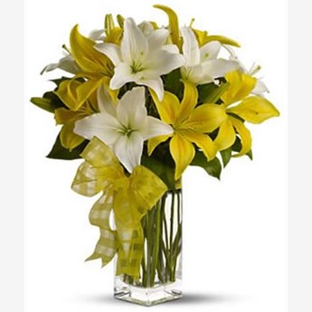 White & Yellow Lilies