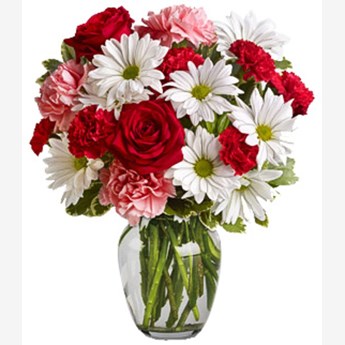 Roses , Carnations & Daisies