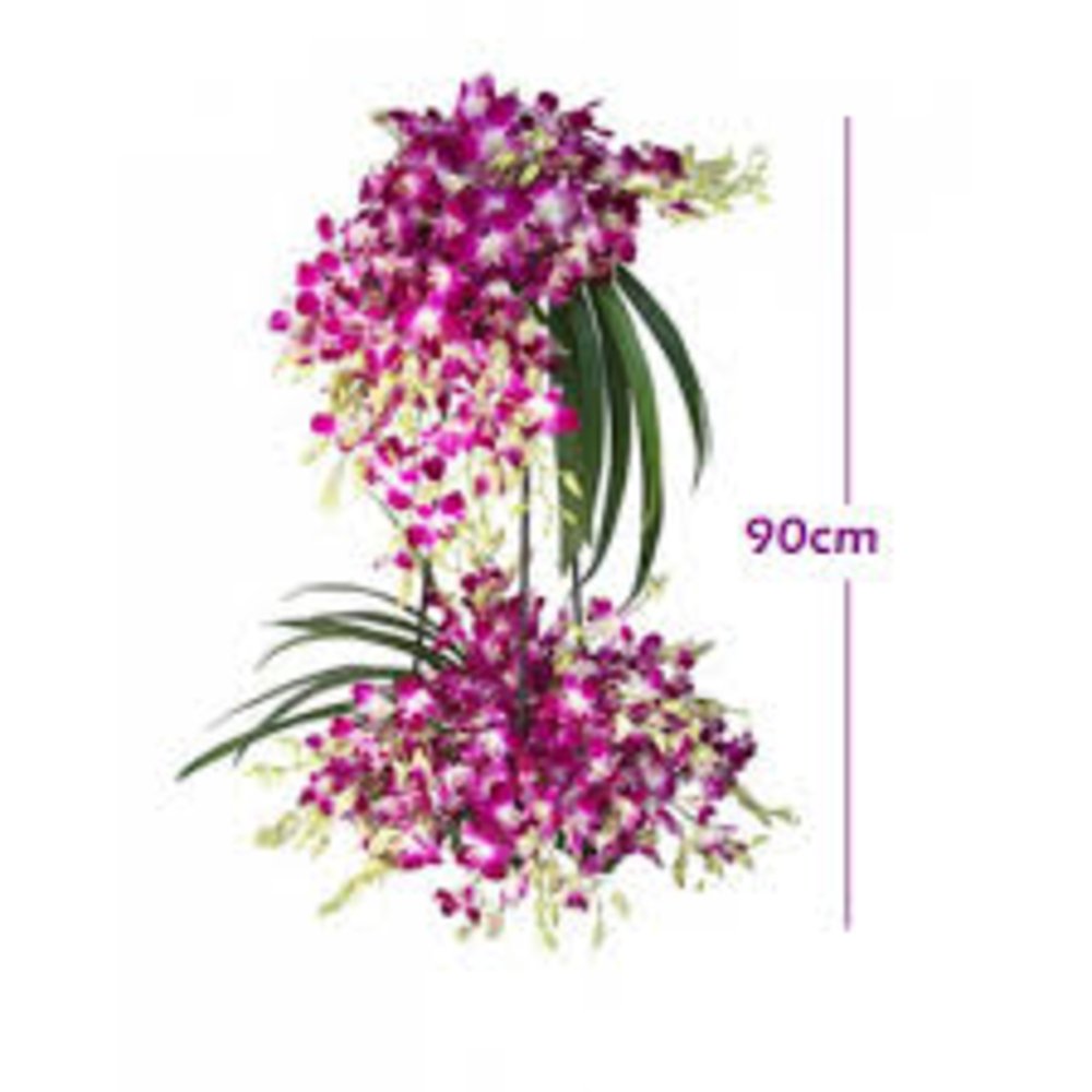 Two layer Orchid arrangement on a stand