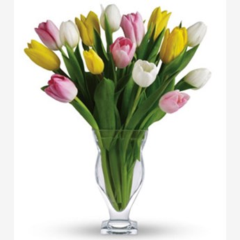 Mixed Tulips