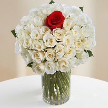White Roses and Red Rose 