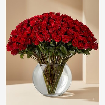 100 Red Roses in a Vase