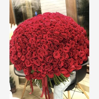 500 Red Roses Kisses 