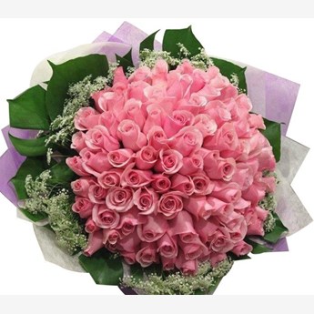 60 Pink Roses