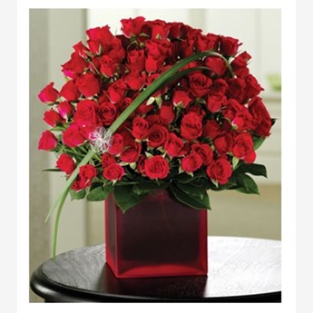 Roses N Rapture