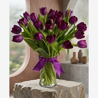 20 Purple Tulips in a Vase