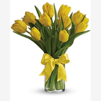 Sunny Yellow Tulips