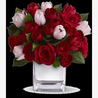Red Roses & Pink Tulips